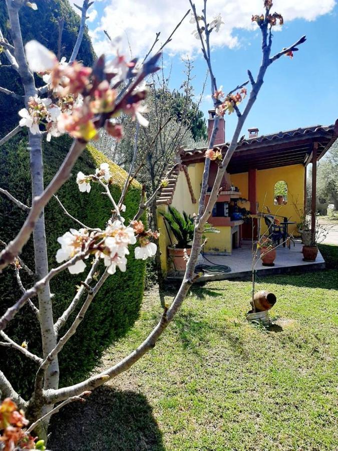 Appartamento Vasiliki'S House Zacharo , 27054 , Ilias Esterno foto